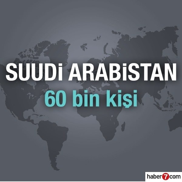 Hangi ülkede kaç Türk yaşıyor? 53