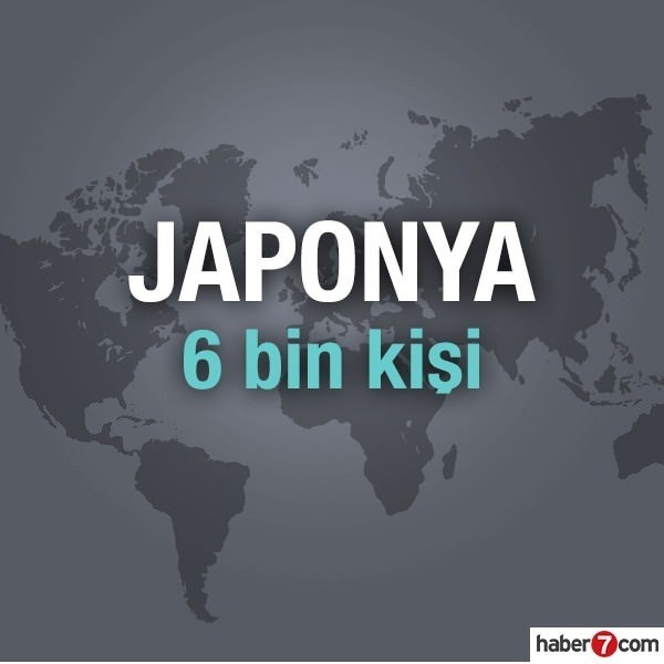 Hangi ülkede kaç Türk yaşıyor? 67