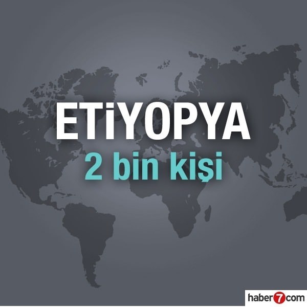 Hangi ülkede kaç Türk yaşıyor? 8