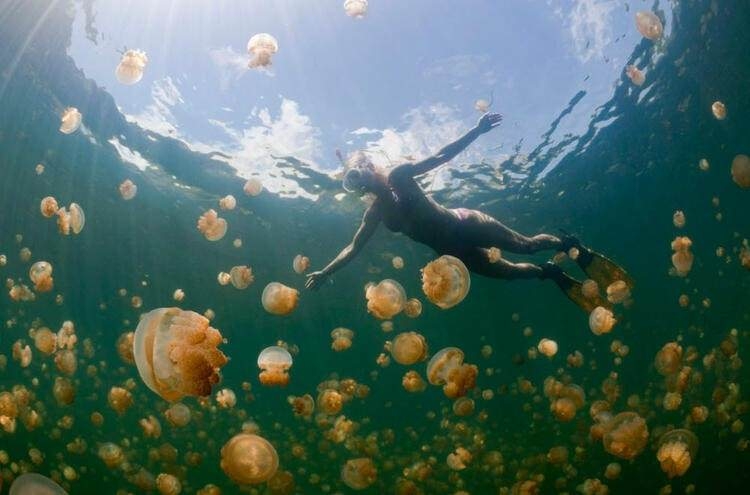 Dünyayı şaşırtan balık! 100 yıldan uzun süredir... 12