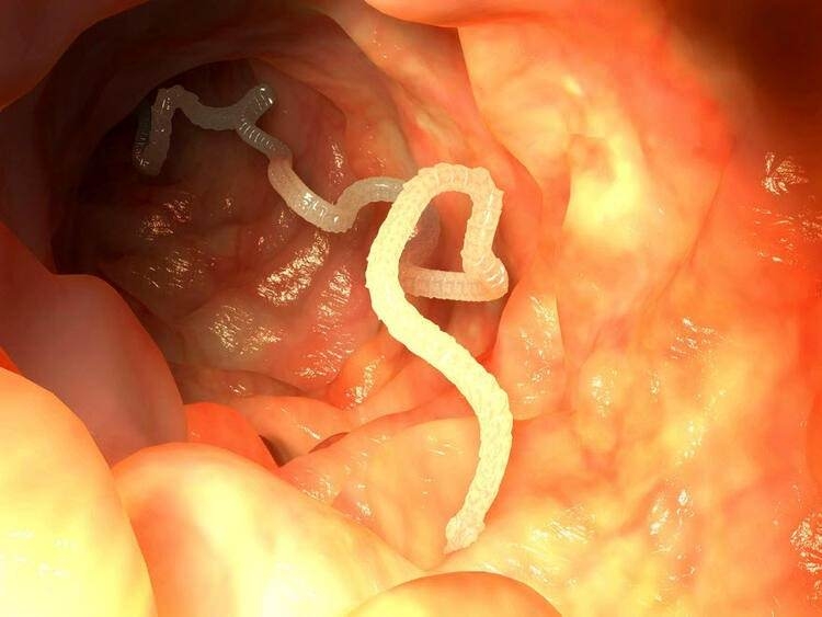 Dünyayı şaşırtan balık! 100 yıldan uzun süredir... 14