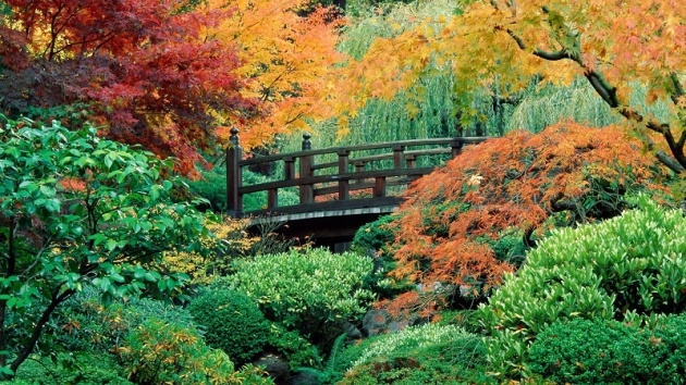 Etkileyici Japon bahçeleri 6