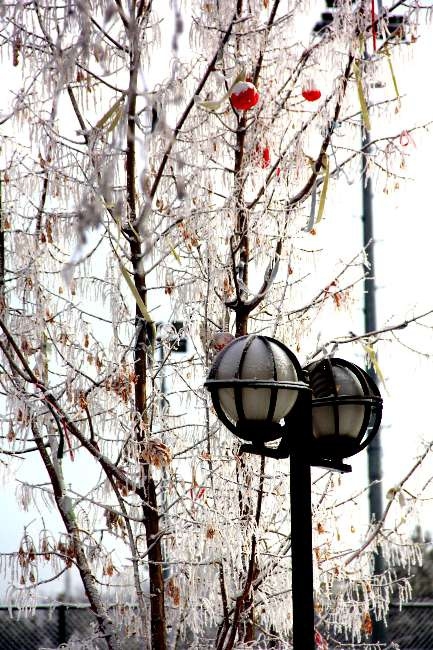 Bu görüntüler hayran bırakıyor 1