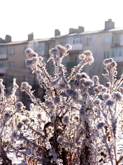 Bu görüntüler hayran bırakıyor 11