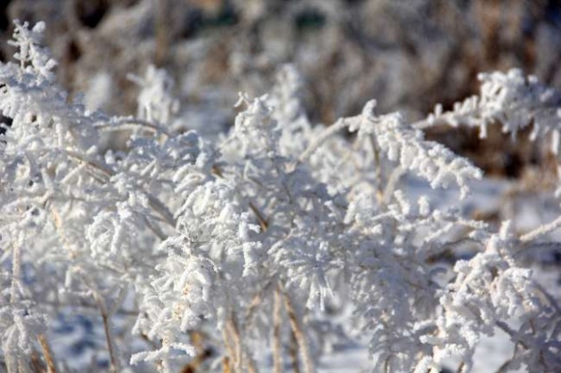Bu görüntüler hayran bırakıyor 13
