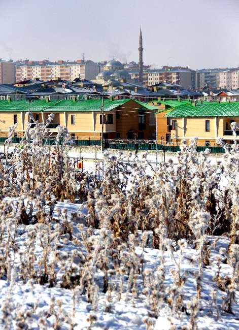 Bu görüntüler hayran bırakıyor 4