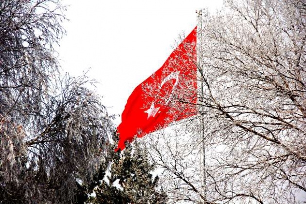 Bu görüntüler hayran bırakıyor 5