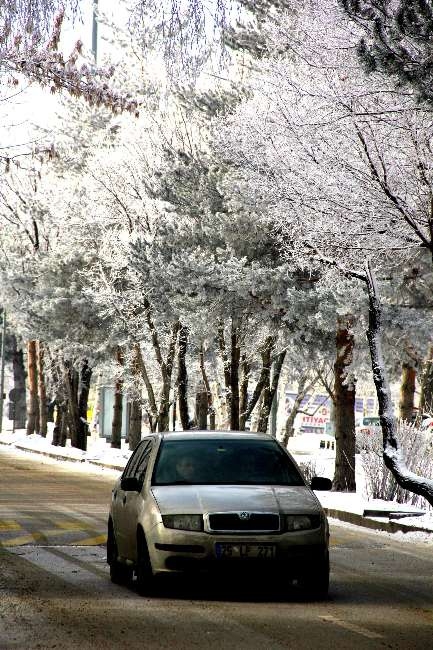Bu görüntüler hayran bırakıyor 6