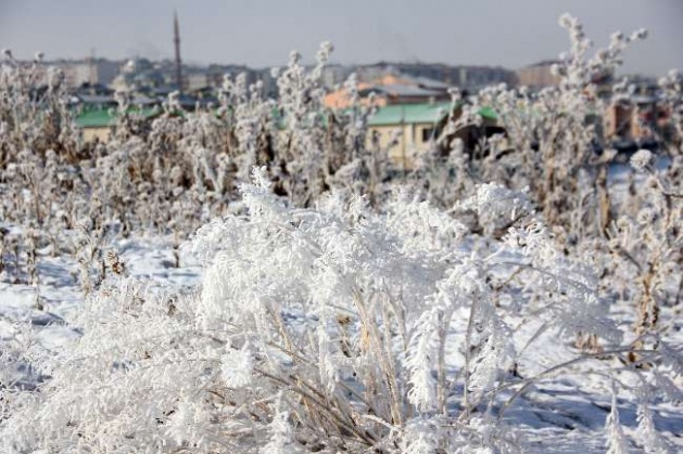 Bu görüntüler hayran bırakıyor 8
