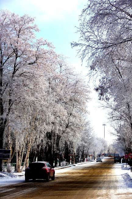 Bu görüntüler hayran bırakıyor 9
