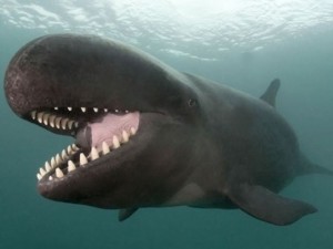 Doğanın en sıra dışı fotoğrafları