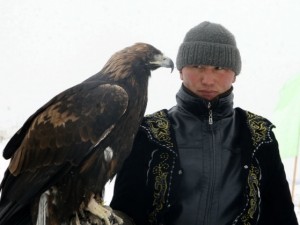 Avci kartalların nefes kesen tilki avı