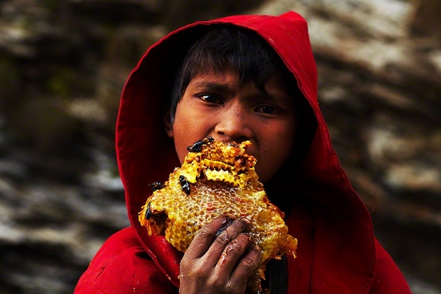 Nepal yerlilerinin arılarla bal savaşı! 10