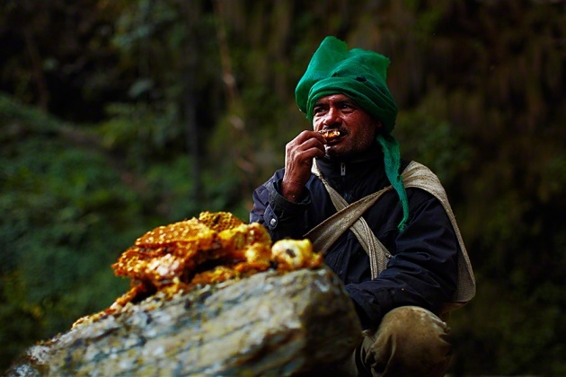 Nepal yerlilerinin arılarla bal savaşı! 11