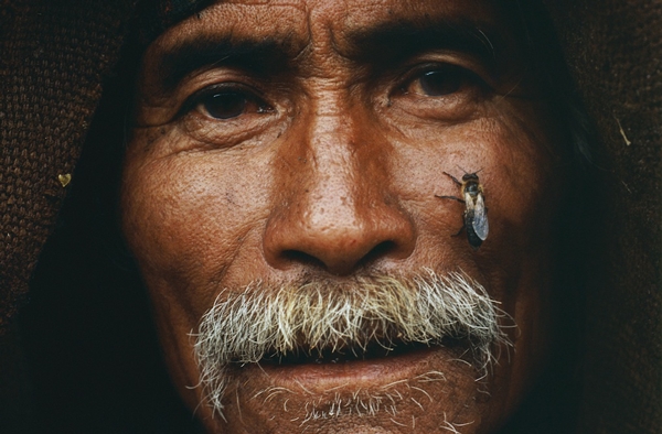 Nepal yerlilerinin arılarla bal savaşı! 20