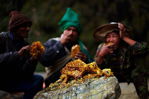 Nepal yerlilerinin arılarla bal savaşı! 9