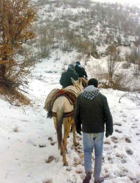 Ölüme böyle yürüdüler 3