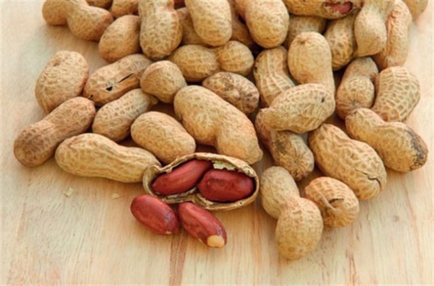 En sağlıklı 10 yiyecek 16