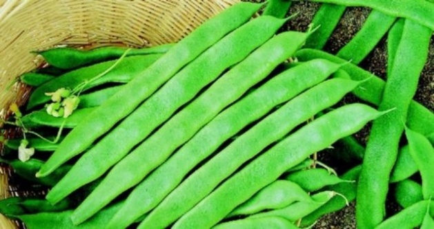 En sağlıklı 10 yiyecek 7