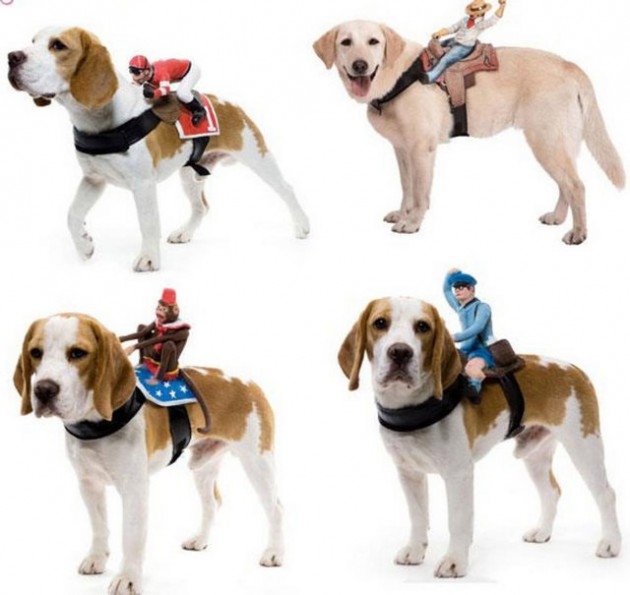 Bu tasarımlar şeytanın aklına gelmez 79