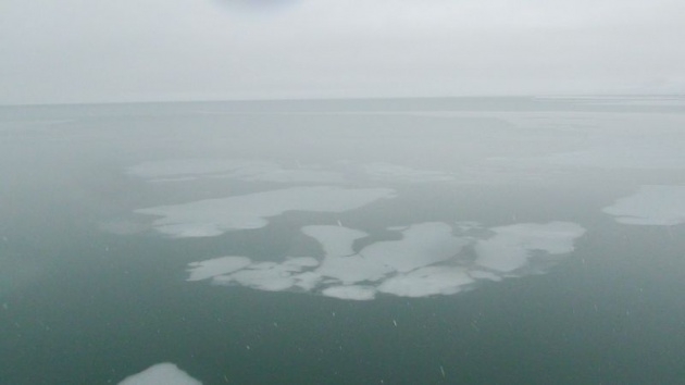 Van Gölü buz tuttu, görenler şaşırdı! 8