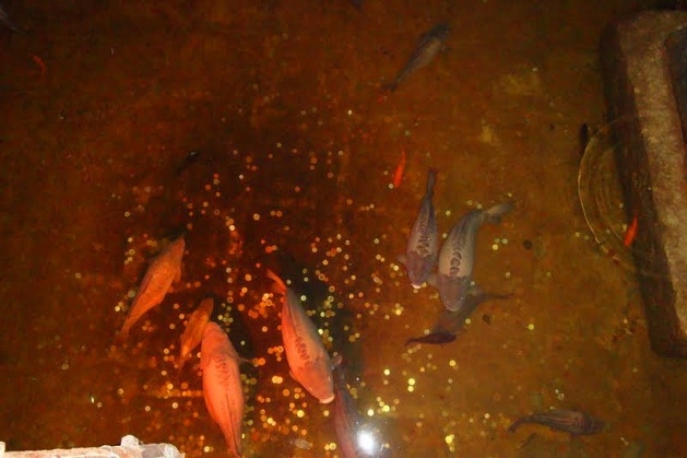 İstanbul'daysanız bunları mutlaka yapın 17