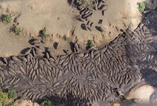 Google Earth'e yansıyan sıradışı görüntüler 7