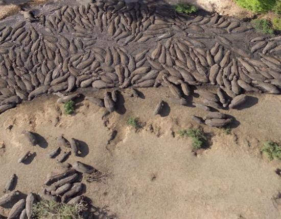 Google Earth'e yansıyan sıradışı görüntüler 8