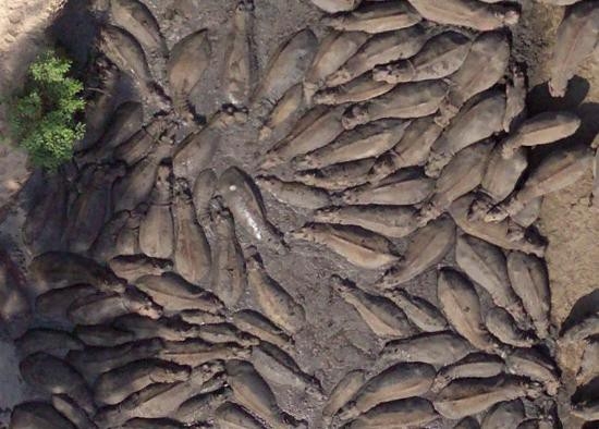 Google Earth'e yansıyan sıradışı görüntüler 9