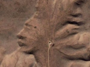 Google Earth'e yansıyan sıradışı görüntüler