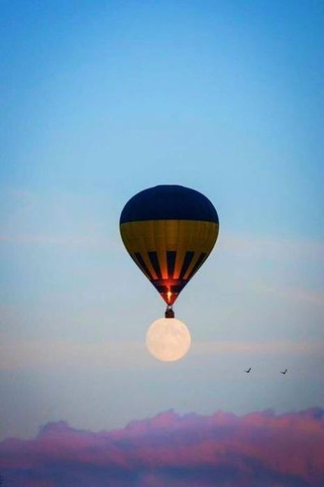 Birbirinden etkileyici fotoğraflar 15