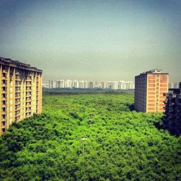 Birbirinden etkileyici fotoğraflar 20