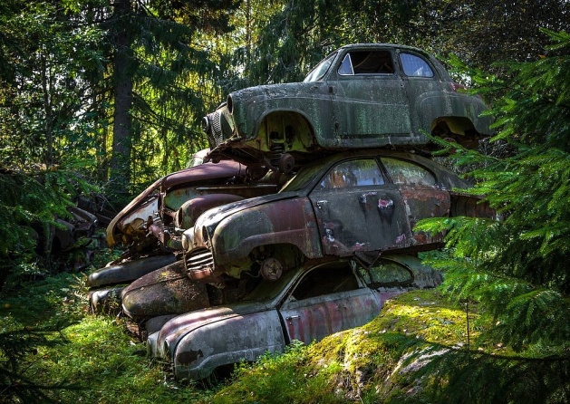 Ormandaki gizemli araba mezarlığı 10