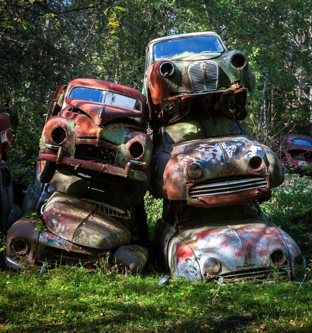 Ormandaki gizemli araba mezarlığı 12