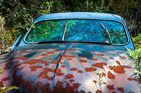 Ormandaki gizemli araba mezarlığı 15