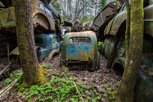 Ormandaki gizemli araba mezarlığı 16