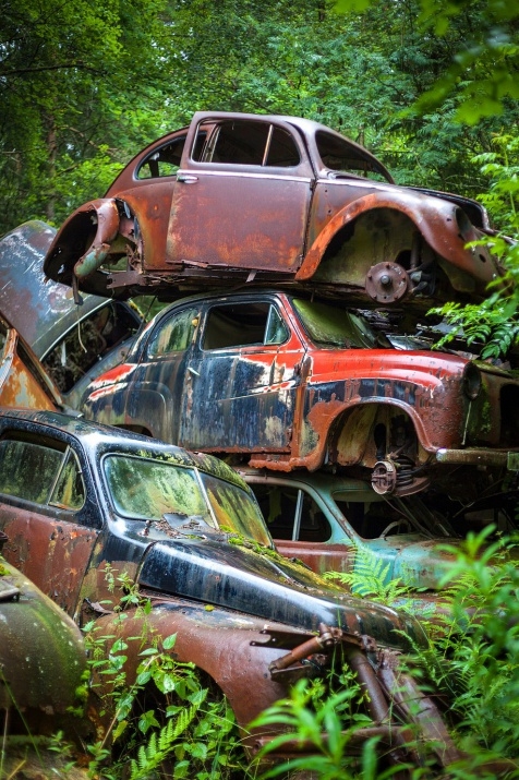 Ormandaki gizemli araba mezarlığı 18