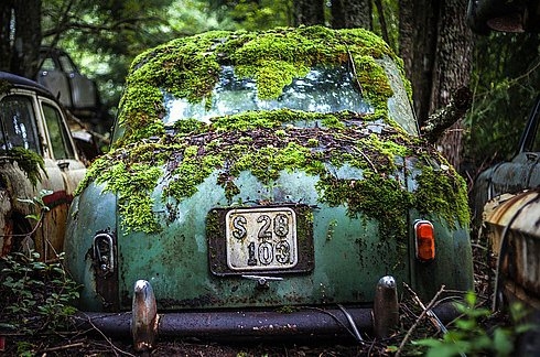 Ormandaki gizemli araba mezarlığı 3