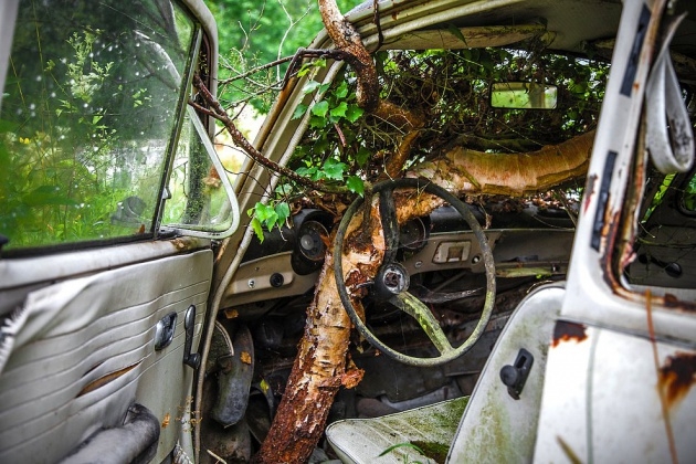 Ormandaki gizemli araba mezarlığı 6