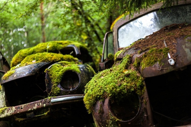 Ormandaki gizemli araba mezarlığı 8