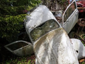 Ormandaki gizemli araba mezarlığı