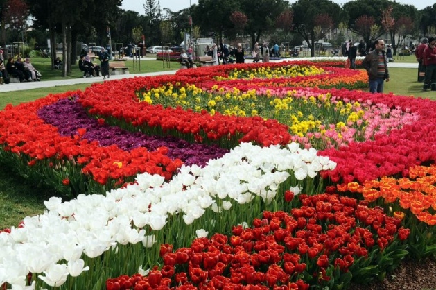 İstanbul 20 milyon laleyle rengarenk 12