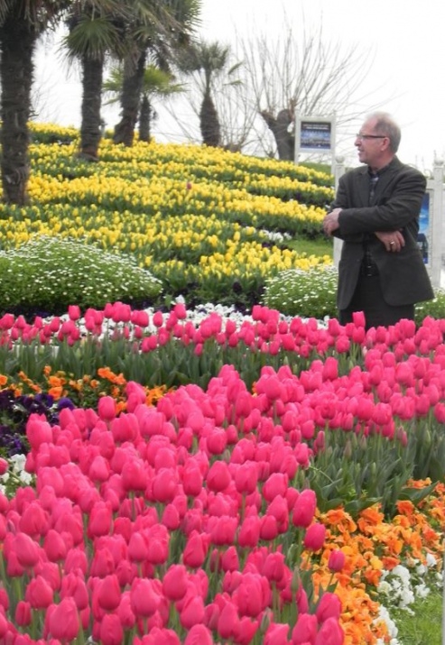 İstanbul 20 milyon laleyle rengarenk 22