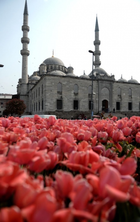 İstanbul 20 milyon laleyle rengarenk 23