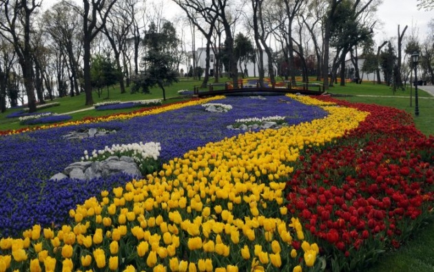 İstanbul 20 milyon laleyle rengarenk 27