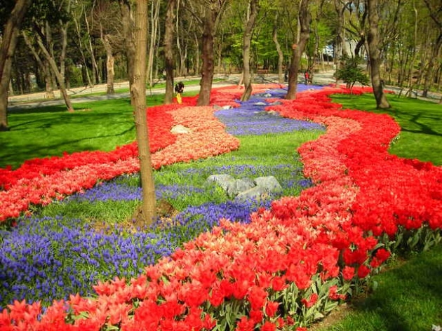 İstanbul 20 milyon laleyle rengarenk 29