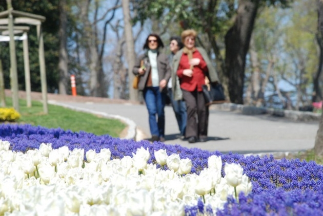 İstanbul 20 milyon laleyle rengarenk 3