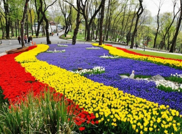 İstanbul 20 milyon laleyle rengarenk 30