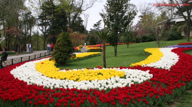 İstanbul 20 milyon laleyle rengarenk 36