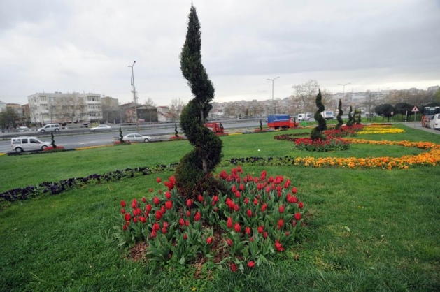 İstanbul 20 milyon laleyle rengarenk 4